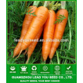 NCA07 Caitou carrot seeds price Guangzhou